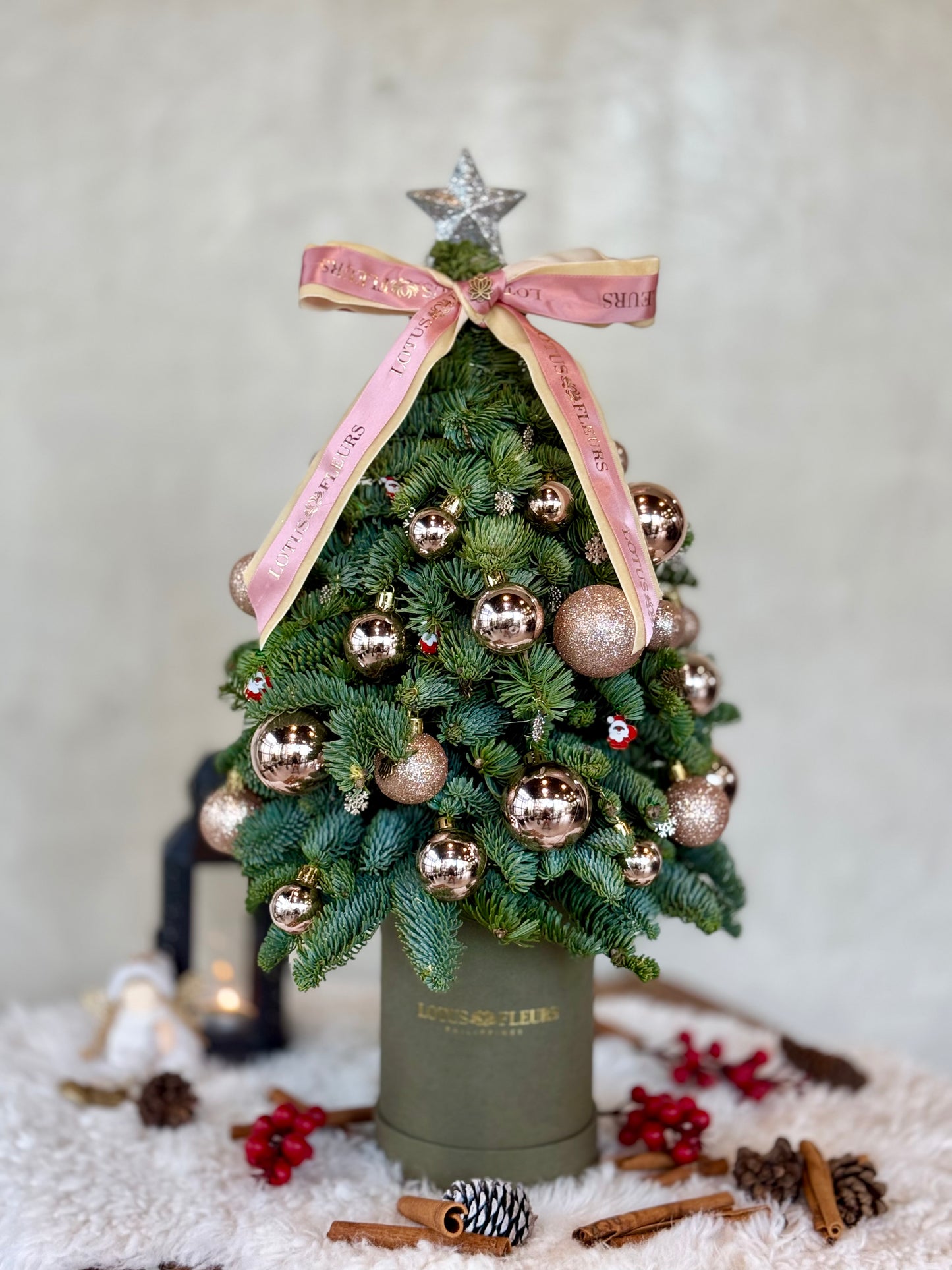 40cm Fresh Christmas Tree